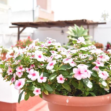 Apartamentos Veedor كاديز المظهر الخارجي الصورة
