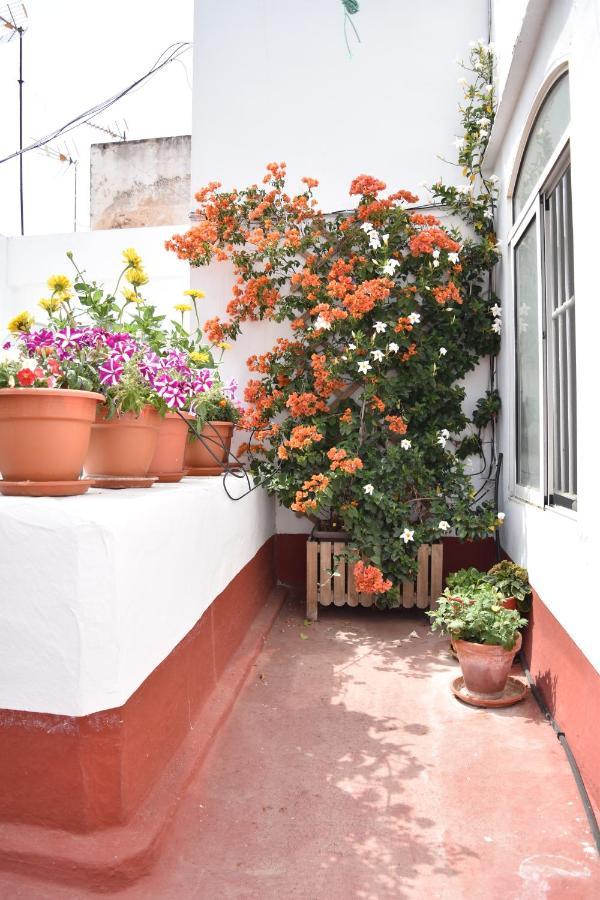 Apartamentos Veedor كاديز المظهر الخارجي الصورة